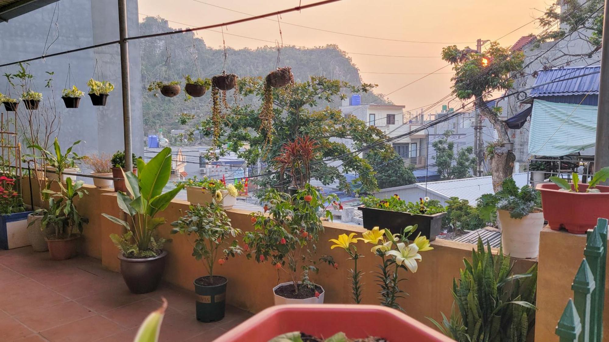 Готель Tiny Garden House Cat Ba Chan Chau Екстер'єр фото
